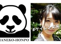 [VR]クマネコ本舗番号：384VTCH-001