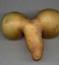 QQ群聊收集的爆笑经典图片