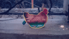 搞笑图片：火鸡烟花 太碉堡了！