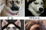 搞笑图片：企业网络部人员配置图!