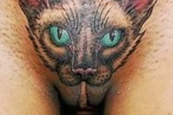 搞笑图片：我是一只小小象 与 小老虎！