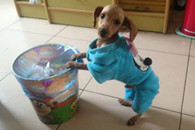 每天逛邪恶帮3分钟 给你整个好心情！