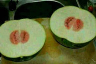 搞笑图片：大热天的我TM买个西瓜容易吗我？