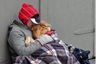 搞笑图片：友谊的真正含义。