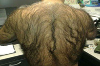 搞笑图片：终于立秋了 真热啊。