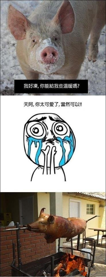 搞笑图片：天太冷了 你能给我点温暖吗？.jpg