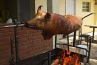 搞笑图片：天太冷了 你能给我点温暖吗？