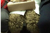 姑娘 你的腿毛真是 浓密又性感啊！