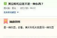 黄豆 和 毛豆是不是同一种东西。