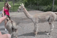 草泥马杯具 这算什么好基友 妹子一出现就踢老子