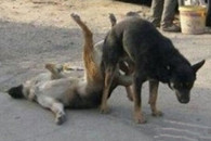 大过节的 洗车的少年 真辛苦!