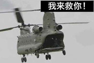 这配图太完美 太形象了。