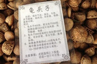 吃了此神药 强身健体 增强抵抗力