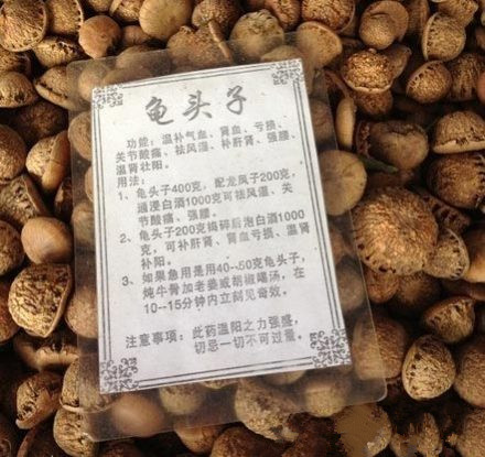 吃了此神药 强身健体 增强抵抗力.jpg