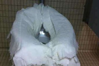  周末休息逛街 想上厕所 找公厕。