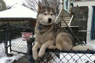  如果有一位天天如此的等你回家。