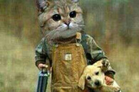 搞笑图片：这张喵星人捕获旺星人的图片 赞一个!