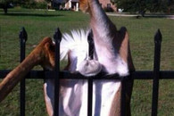 卧槽!这会才真蛋疼了!