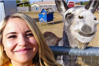 搞笑内涵图：这俩的表情好像啊！