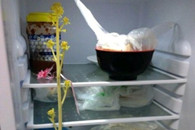 出差一个月发现冰箱里的菜都发芽长这么高了!