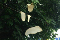 搞笑图片：印度飞饼师傅 你的飞饼是不是飞过头了