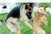 职场小哥到新公司入职前一晚的约炮故事 狗血的约炮经历 不爆不能忍!