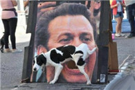 搞笑图片：哥们儿 这个时候你还能淡定的玩手机?