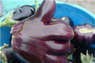 搞笑图片：这茄子一级棒 快来买我吧!