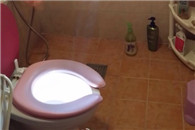 吓一大跳 还以为谁在马桶里装了盏灯!