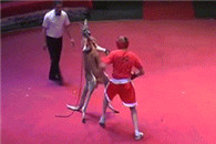 卧槽说好的套路呢哈哈笑崩了 直接KO。