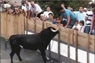 搞笑动态图：不作死就不会死。