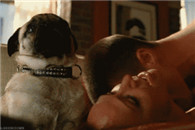 搞笑内涵图：能考虑一下单身狗的感受吗?