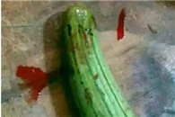 搞笑内涵图：彻底被我的女朋友感动了 现在眼泪哗哗的!