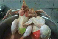 搞笑图片：亲爱的 水温合适吗?