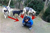 搞笑图片：人类能快点吗 两三张嘴等着呢!