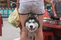 色狼快滚开 不许偷看我主淫 她是窝的!