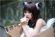 搞笑图片：遇到这样的流浪猫你会收养吗?