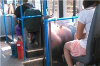 站住你只小婊砸，装了逼还想跑?