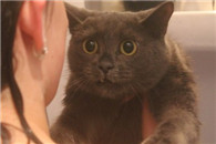 妹子 该提提裤子了 回头不知道能看到多少双眼睛!