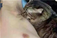 搞笑图片：一群重口味的蝴蝶呀!