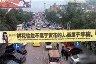 搞笑图片：一名优秀的摄影师背后!