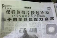 17岁骚年看片后奸死8只老母鸡后因感到羞耻挥刀自宫