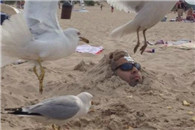 金卡戴珊及其家族专用马桶，大屁股专用马桶