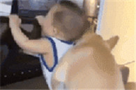 搞笑动态图：这种裤子真带感 我以后如果有。