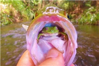 我在里面睡觉呢 不要吵醒我赶紧关门!