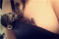 节操图：还有没有人性 放开那只喵 快把它勒死了