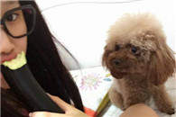 禽兽都知道 茄子不是用来吃的!