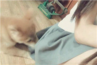 还是那个熟悉的味道!