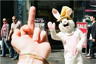 谁都别想惹TM的小兔砸 谁都别想 这就是下场!