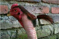 帅得睡不着啊 这发型真的是太fashion了!